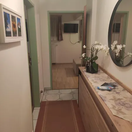 Haus Habetseder Apartment Dorfgastein